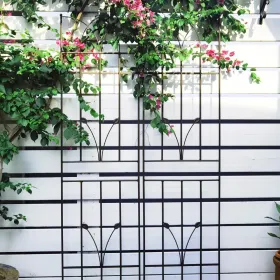 2 Pack Metal Garden Trellis 71" X 17.7" Rustproof Trellis For Climbing Plants Outdoor Flower Support (Option: Brown)