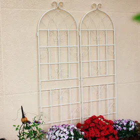 4 Pack Metal Garden Trellis 71" X 19.7" Rustproof Trellis For Climbing Plants Outdoor Flower Support (Option: CREAMWHITE)